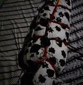 JMummification's tweet image. Yg suka bungkus jarik ayo main