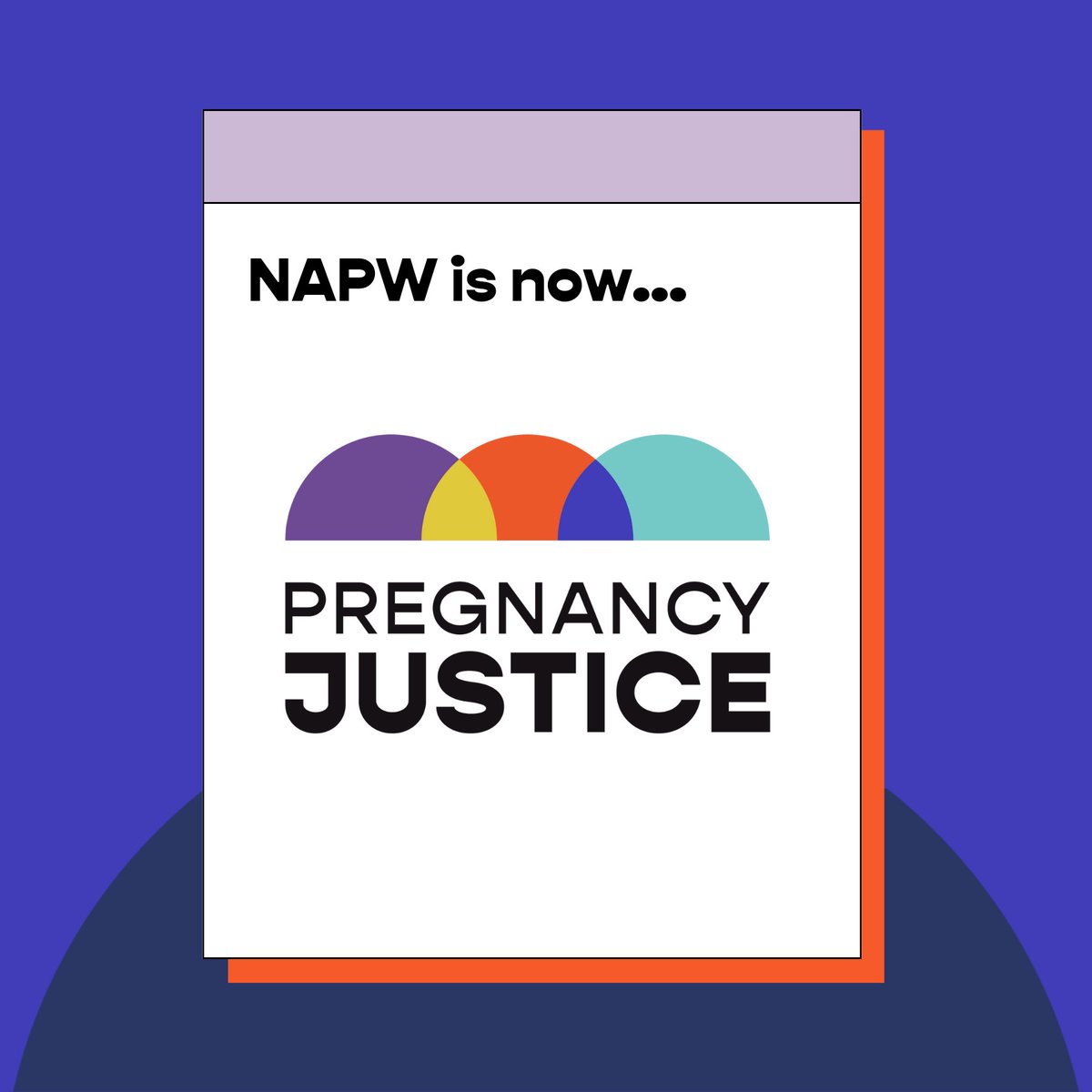 Pregnancy Justice | @pregnancyjust.bsky.social tweet media