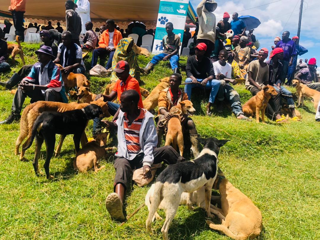 FAO in Rwanda on Twitter: 