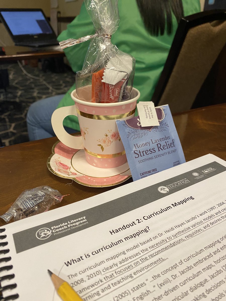 Kathy_Winne's tweet photo. STES leadership are growing and learning at Literacy Boot camp training with the FLDOE and FCRR to earn endorsements as Literacy Coaches…Day 1 amazing…ready for Day 2  #Literacycoaches #Lifelonglearners  @TheFCRR @SeminoleTrails @TaMiyahLowe https://t.co/4XnyB03YeH