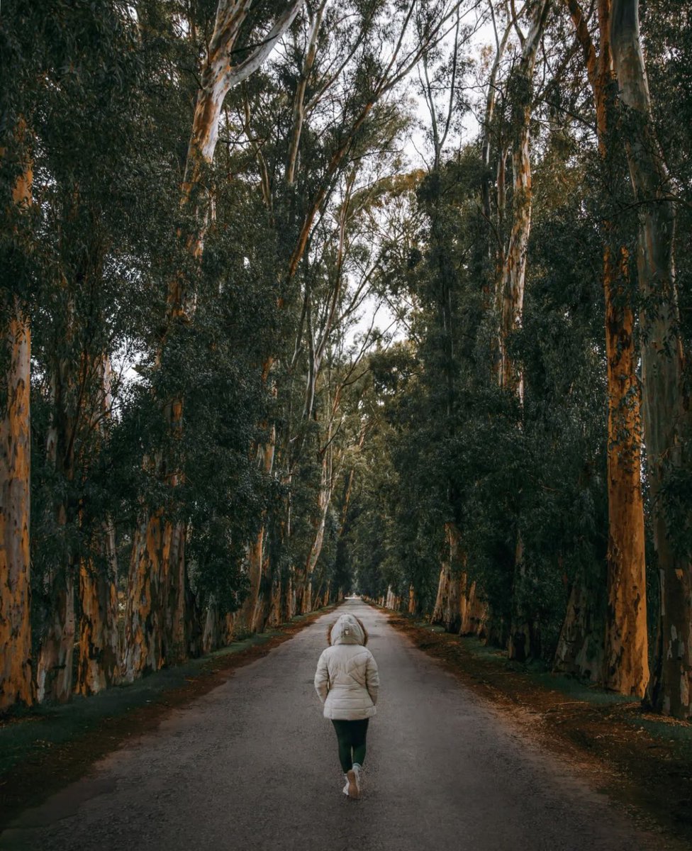 Marmaris, Aşıklar Yolu’na gitmeliyiz.