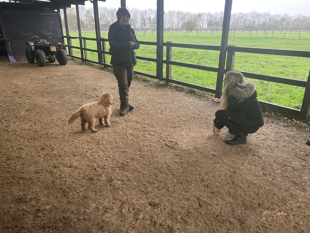 TheLighthouse_S's tweet photo. Canine care. Dog training. Using different commands #dogtraining #verbalcues #visualcues #treatsandrewards #rewards #positivereinforcement https://t.co/iogazOUvyn