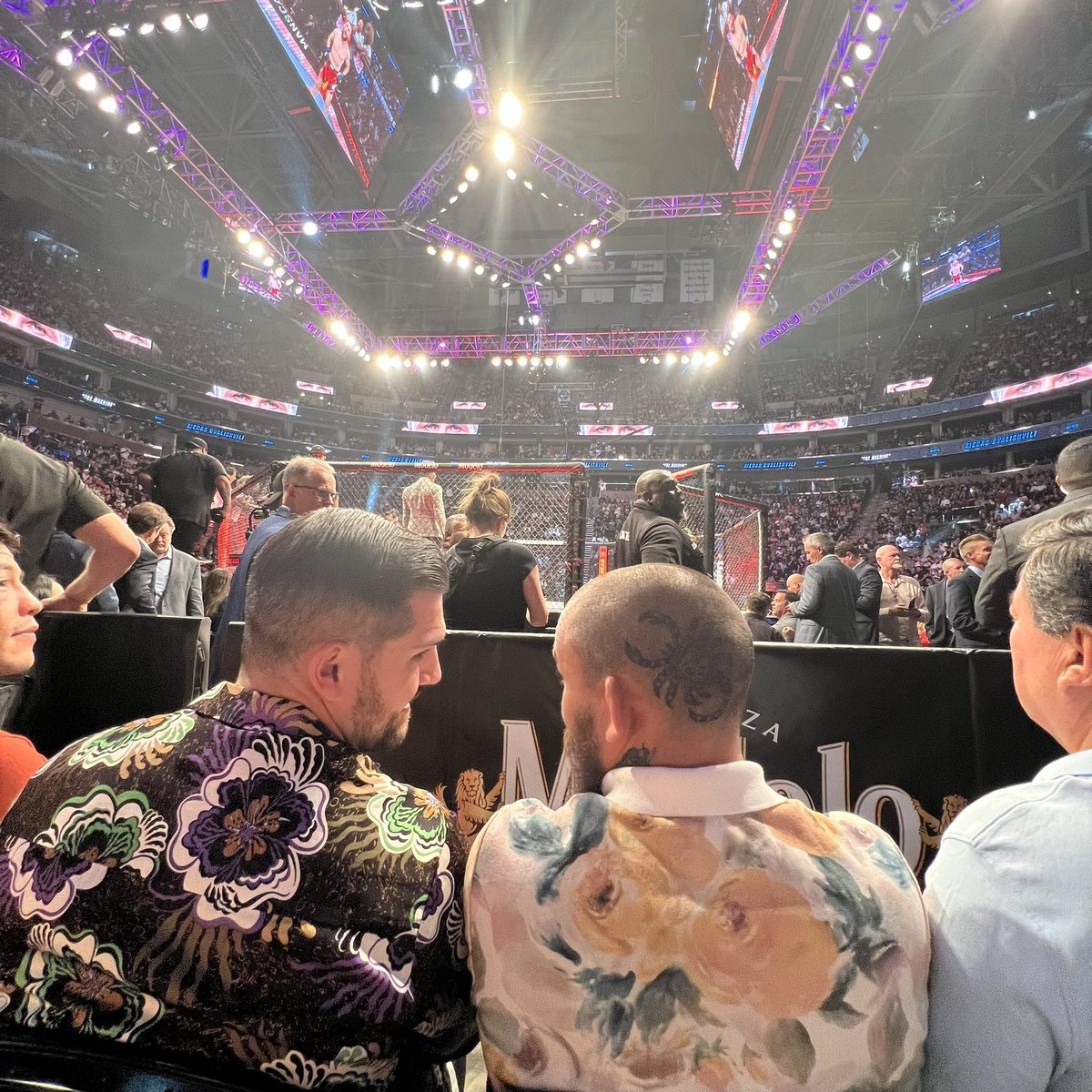 TARIN 🇺🇸 tweet media