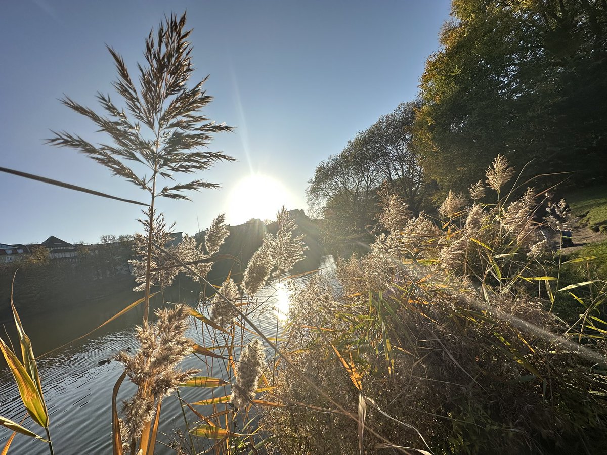 derPUPE's tweet image. #Spätherbst in #Charlottenburg &amp;lt;3