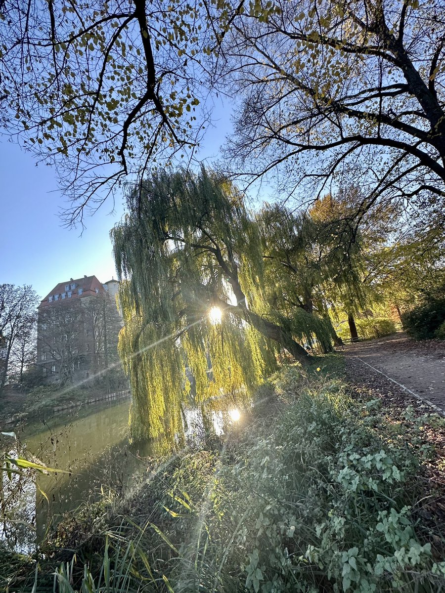 derPUPE's tweet image. #Spätherbst in #Charlottenburg &amp;lt;3