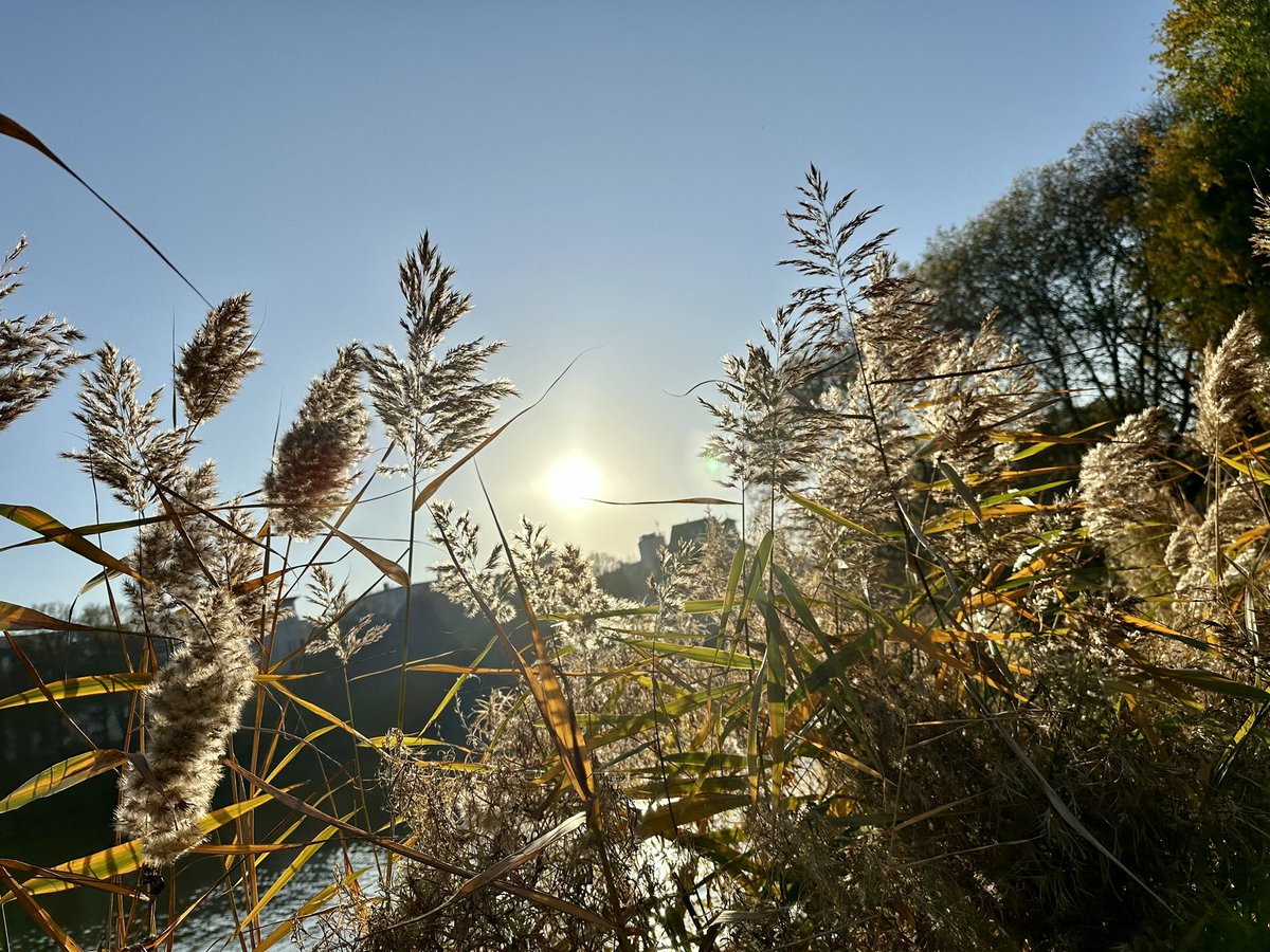 derPUPE's tweet image. #Spätherbst in #Charlottenburg &amp;lt;3