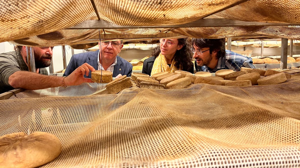 Diputació de Lleida tweet media