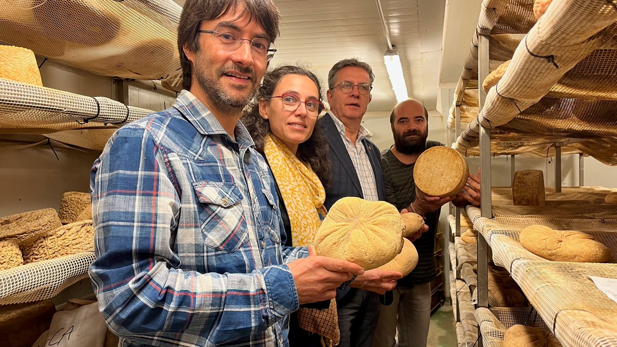 Diputació de Lleida tweet media