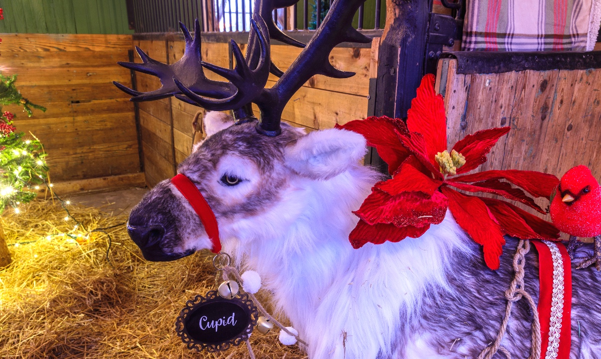 Get your tickets for 'A #MerryandBright Christmas Tour' at the McArthur Estate while they last! Some time slots have sold out!😮 Activities for children include writing &amp; posting letters to Santa's Mailbox!  More surprises in store! 🎅

bit.ly/3tuXUwh

#niagaraonthelake