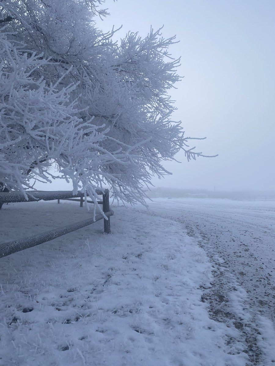 Another foggy, frosty morning in November. Not really ready for full on winter - but these kind of mornings take the edge off.
