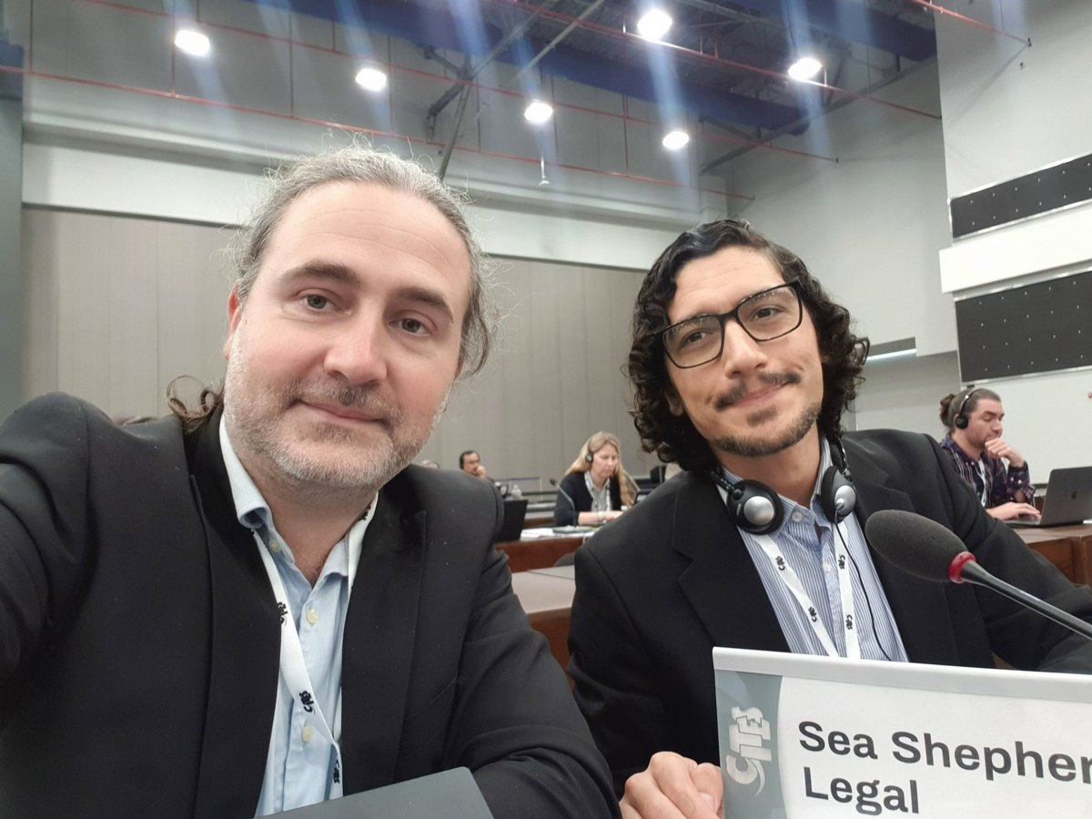 dkachelriess1's tweet photo. Great to be in Panama at #CITESCoP19 with my colleague @ballenasvolando . @seashepherdlaw is looking forward to provide sound technical advice on improving outcomes for marine species on #CITES and catch up with friends &amp; colleagues! https://t.co/1VHlOhoYIj