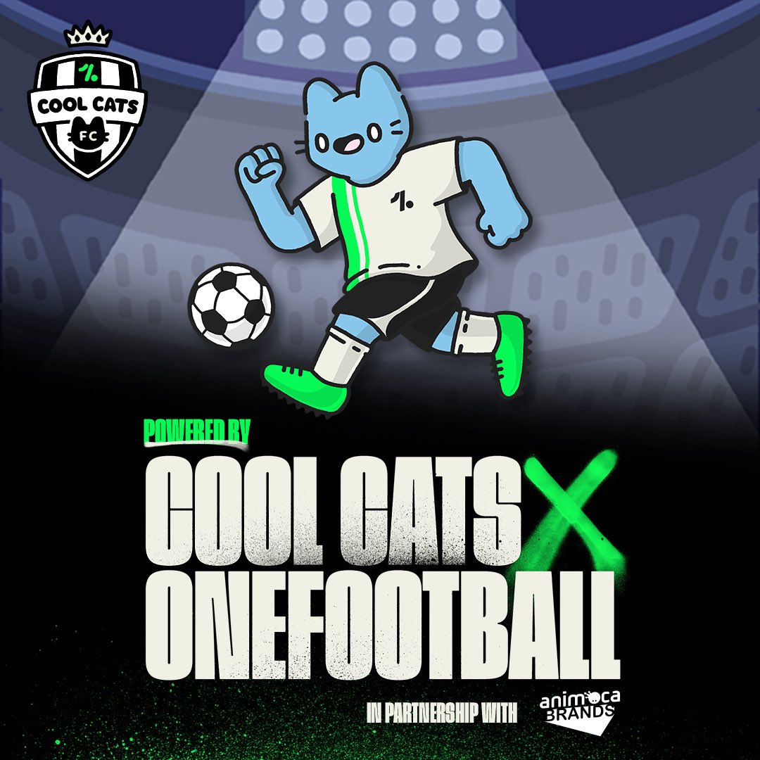 Cool Cats tweet media