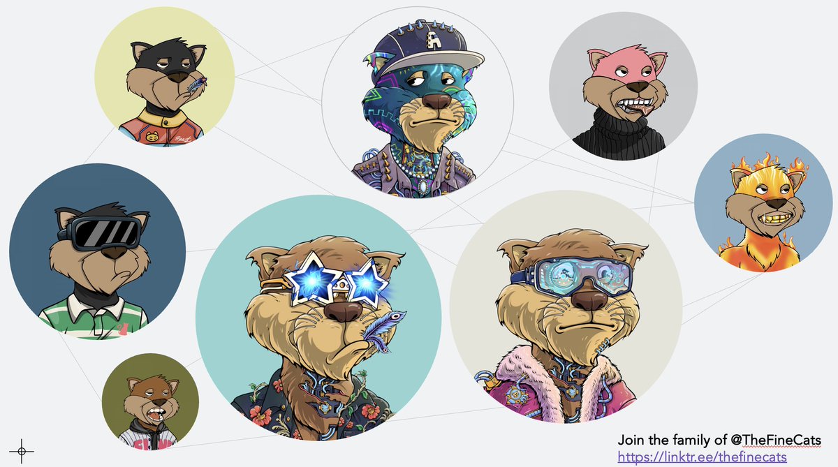 <a href="/SolanaSweeper/">SOLANA SWEEPER 🧹🧹🧹</a> Honestly, we have so many nice #SolanaNFT #communities . Imagine they collaborate, and while you have a toe in several, you are more engaged in some special ones. For me @TheFineCats are an awesome crowd. Great community. Strong team. Continuously developing 😺🍀✨