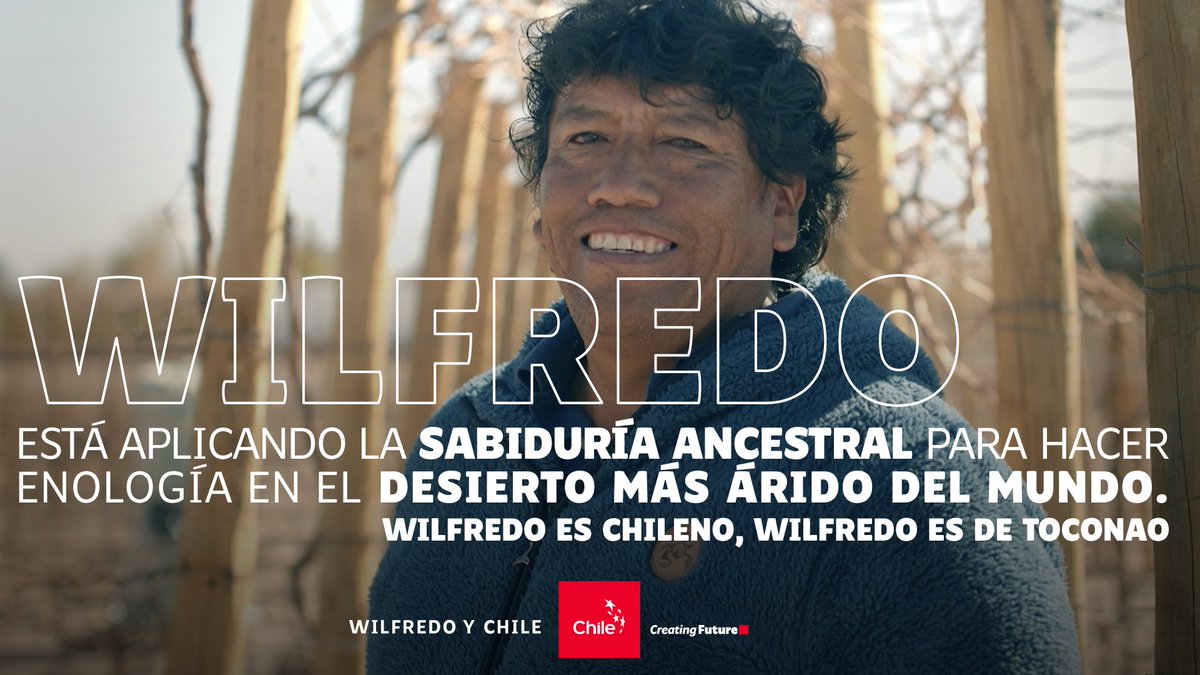 MarcaChile's tweet photo. Wilfredo y la cooperativa Viña Ayllú, trabajan con miembros del pueblo originario Lickantanay, para dar vida a una de las viñas + altas y extremas del🌏, uniendo los conocimientos ancestrales y la sustentabilidad, con metodologías amigables con el ambiente🍷. #ChileCreatingFuture https://t.co/opJ0m1N76i