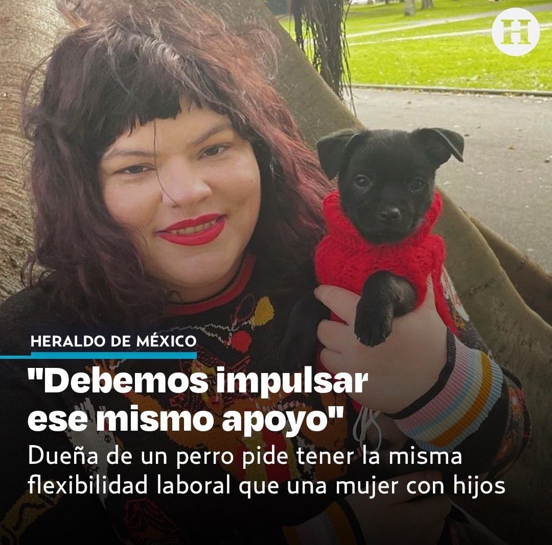 D On Twitter Amo A Mis Perritos Pero Al Chile No Diga Pendejadas d-on-twitter-amo-a-mis-perritos-pero-al-chile-no-diga-pendejadas
