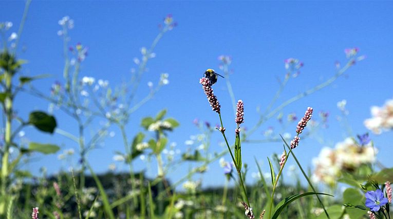 Voortgangsrapportage Natuur 2021 bit.ly/3TxHQV6