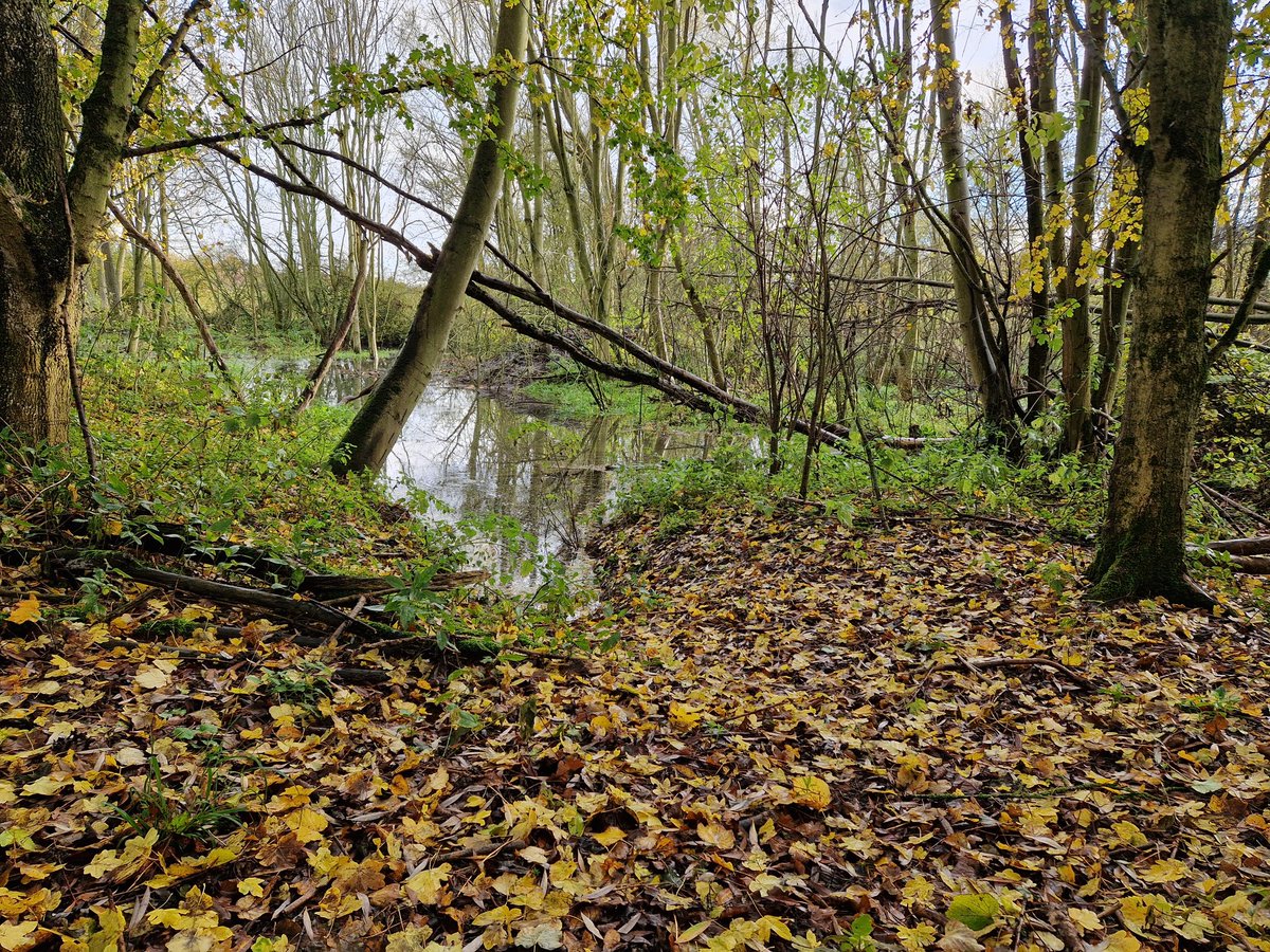 Matt Butcher tweet media