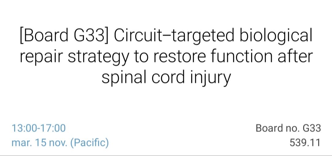It's today! Come by our poster this afternoon (board G33) to have a chat about stem cell transplant for spinal cord injury <a href="/BellarditaC/">Carmelo Bellardita</a> <a href="/KiehnLab/">Ole Kiehn</a> <a href="/SfNtweets/">Society for Neuroscience (SfN)</a>