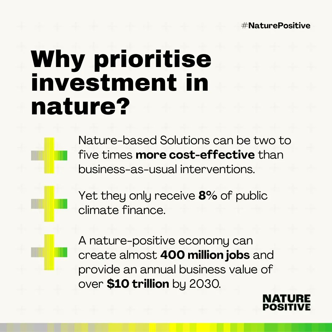 Healthy wetlands are a powerful natural solution to help us mitigate and adapt to #climatechange. From carbon sequestration to protection from floods and droughts, #WeNeedWetlands! #COP27