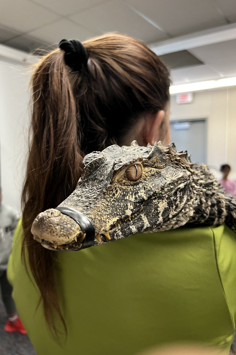 It’s an “animaltastic” day in the LLC <a href="/EMPSEagles/">Ellwood Memorial P.S</a> Thank you to the Ellwood Memorial H&amp;S for supporting this <a href="/Zootoyou1/">Zootoyou</a> program