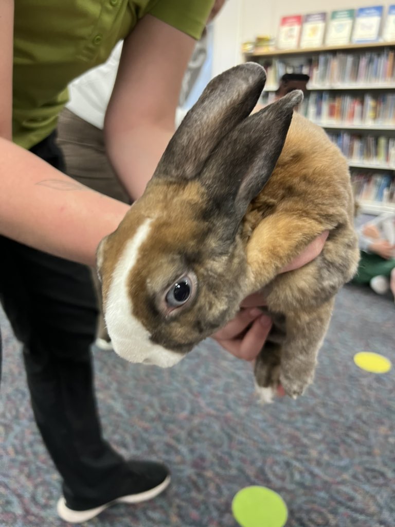 LCannonLibrary's tweet photo. And more https://t.co/f4H3isZPKw