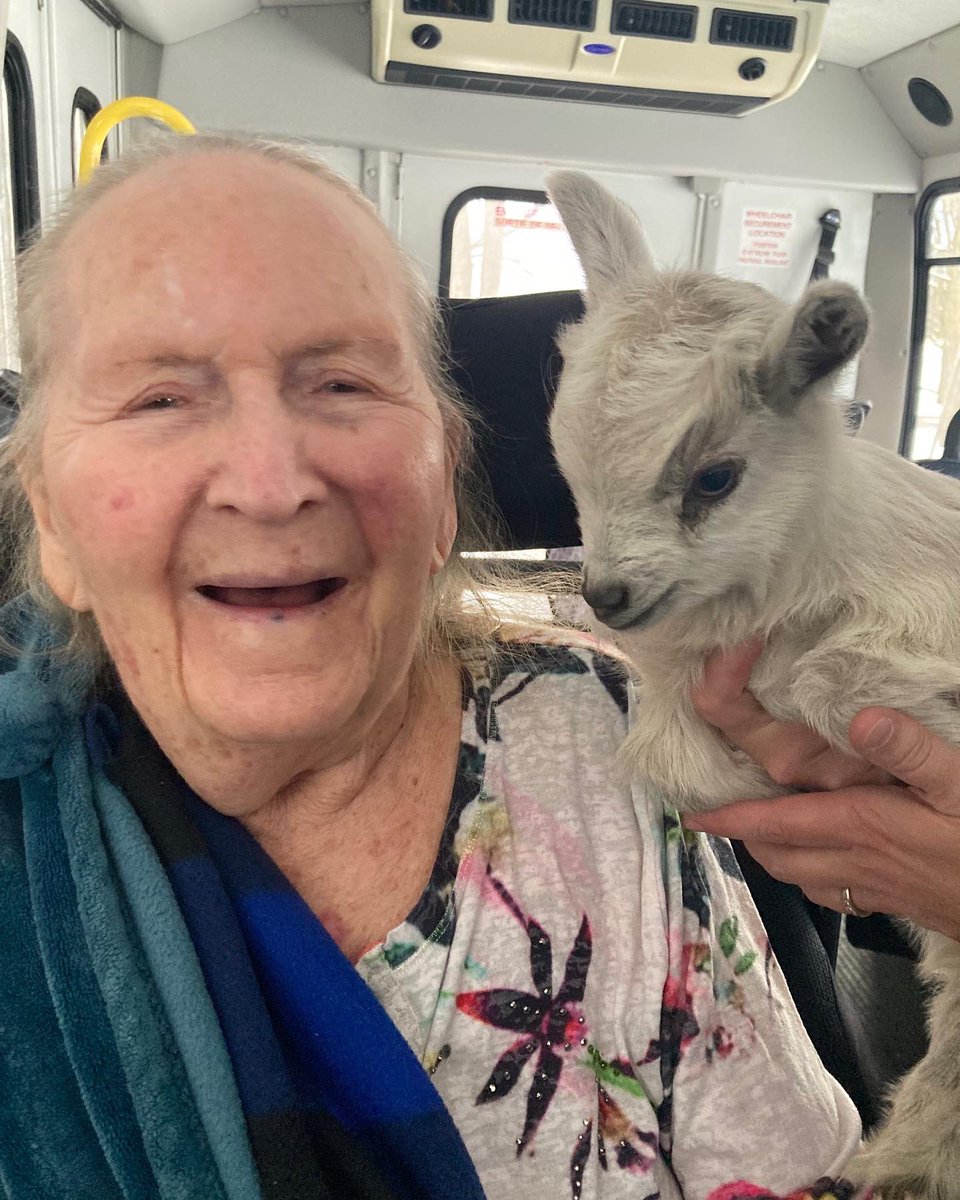 simcoecounty's tweet photo. During a recent trip to a local farm, Sunset Manor residents got to experience the fun that happens when the petting zoo comes to you!
#community #SunsetManor #LongTermCare #Seniors #agingwithstyle #farm #localpride #supportlocal #seniorsservicessociety #collingwood https://t.co/kK3SidrwKZ