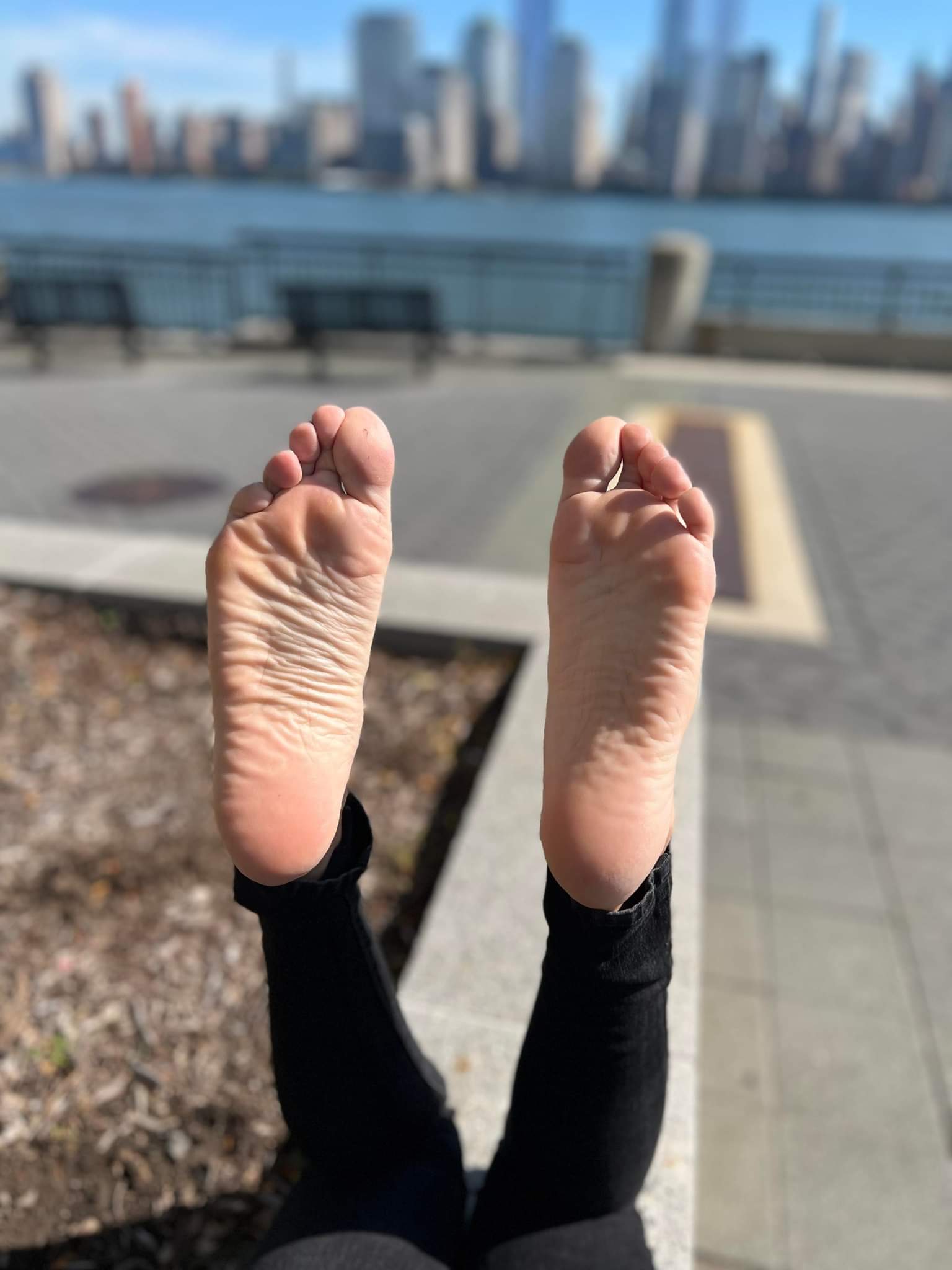 TW Pornstars - 2 pic. Morgana Soles ️ San Fran/LA/San Diego 9/9-15. Twitter. I only have two