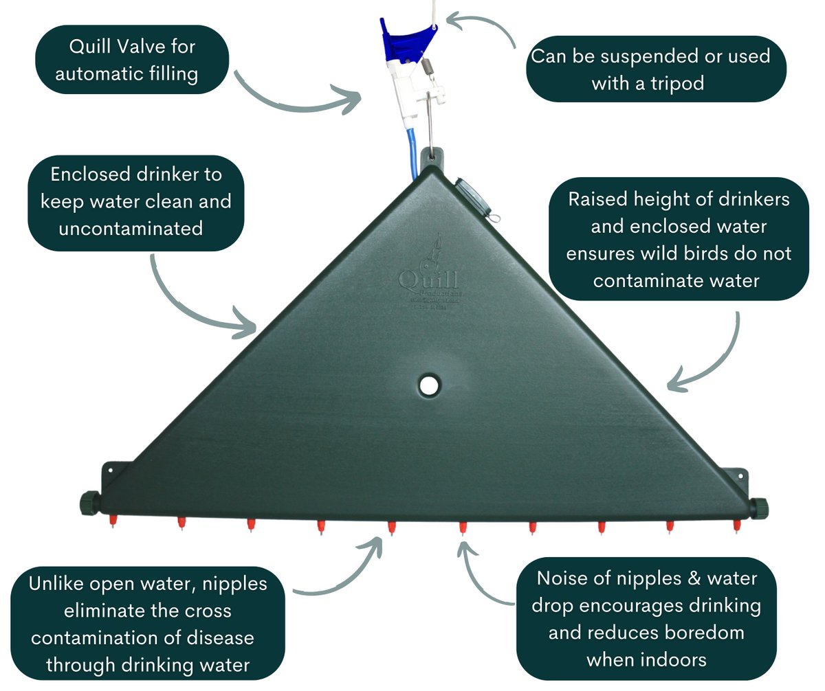 QuillProd's tweet image. Avian Influenza: Disease in birds is easily spread via the water in open drinking containers.

“Prevent your birds from accessing open water that may be contaminated….Sealed nipple systems can be considered.” (DEFRA 2022) 

#biosecurity #avianinfluenza #avianflu #birdflu