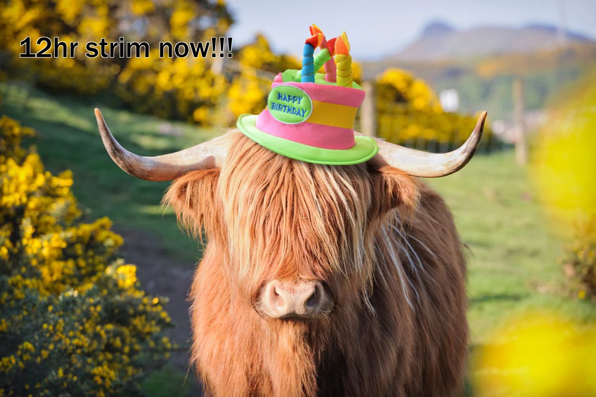 DeadAnthro's tweet photo. 12hr stream is now! We're celebrating my 1st year as a Partner streamer and my Birthday all at once!!! Come say Hi if you can! 🐮🎉 

https://t.co/i2rL2kzUFI https://t.co/LEsjBAaaOa