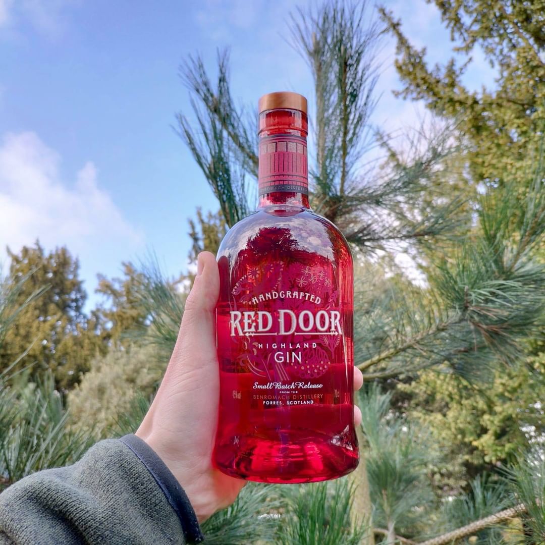 RedDoorGin's tweet photo. How is your Red Door Gin collection looking? πΈ
Purchase your next bottle of gin on our website π https://t.co/NraALI5acv
#RedDoorGin #GinCollection https://t.co/A2TOuZF15v