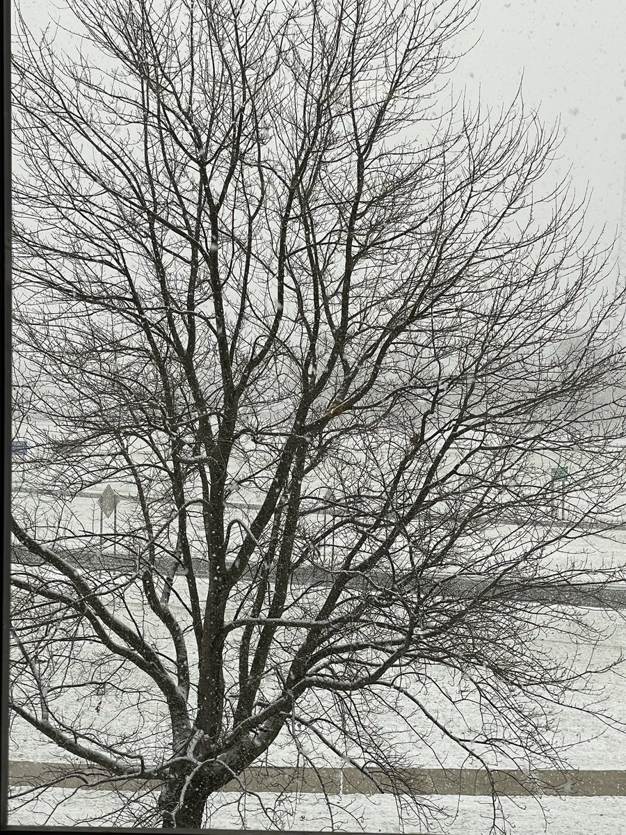mwbtpr's tweet photo. It was 75 last Thursday… Gotta love Michigan… https://t.co/QLsxWWGQNV
