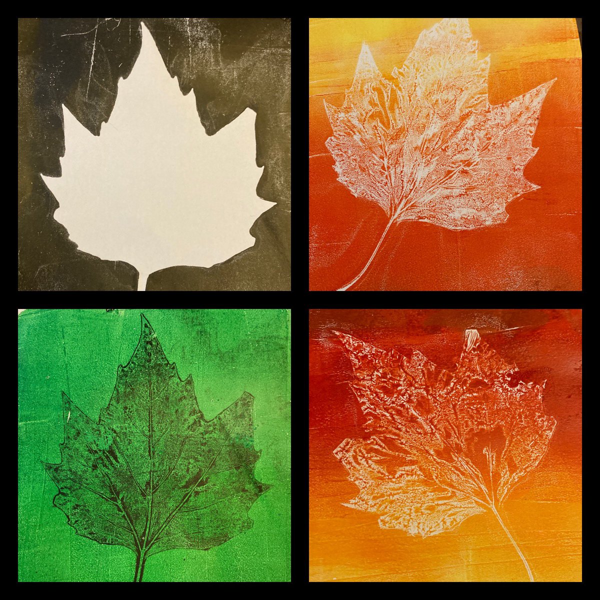 Emma Harding tweet media