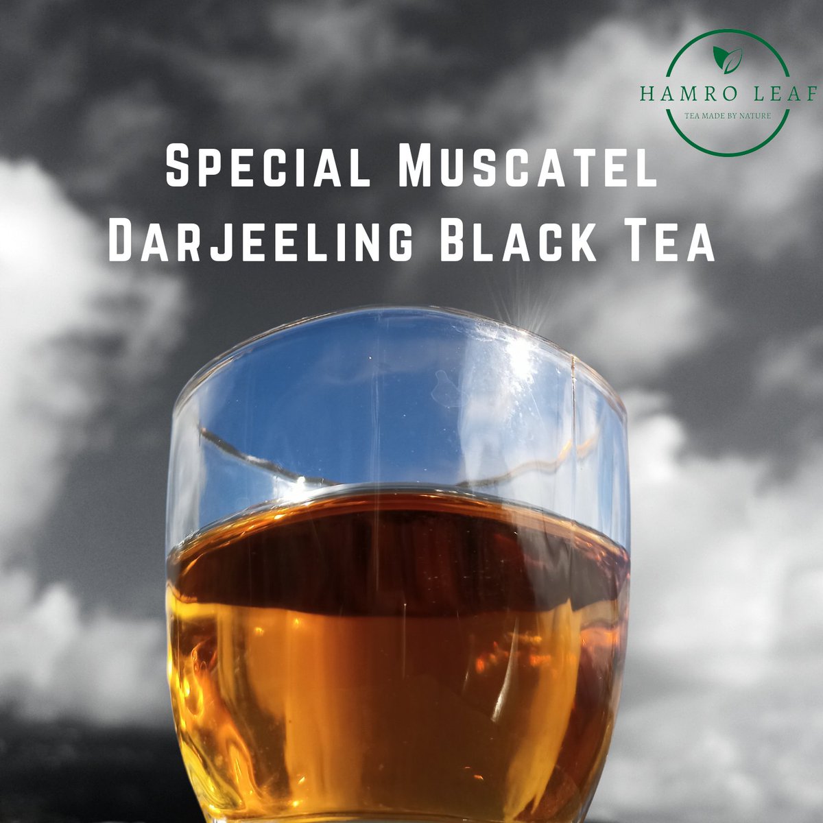 HamroLeaf's tweet photo. Every day, we're making a conscious effort to be healthier. We're drinking more tea, and drinking it more often.This is why we've started selling the world's most popular black tea - because the benefits are endless.
What are you doing for your health today?
#proudlysmallbusiness https://t.co/0baRxw12T4
