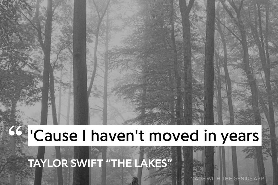 g0withgrace's tweet image. Taylor Swift wrote this line about the Ticketmaster queue