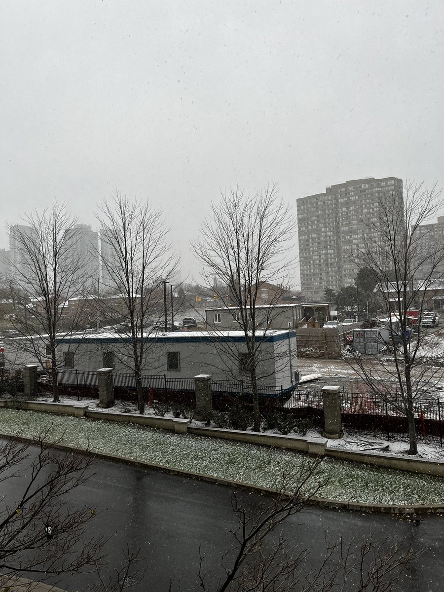 Moe 🍋💊 tweet media