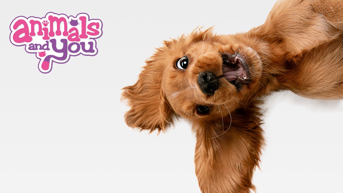 Did somebody say biscuits? #puppylife