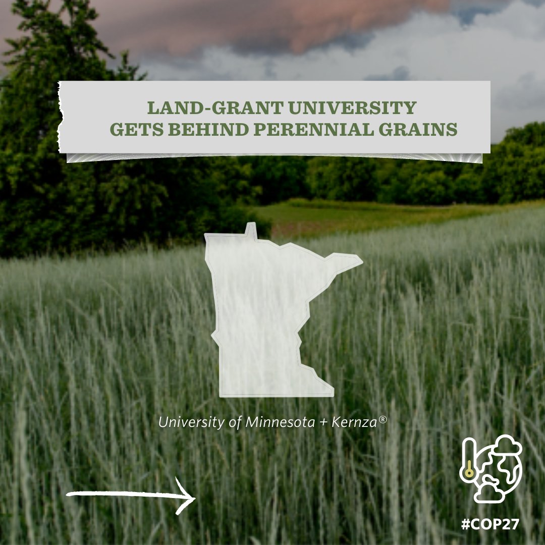 The Land Institute tweet media