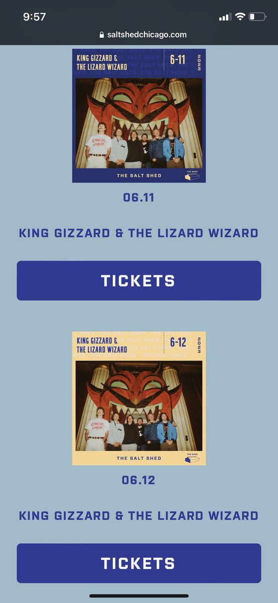 Three nights of King Gizzard at the Salt Shed June '23 🦎🦎🦎
