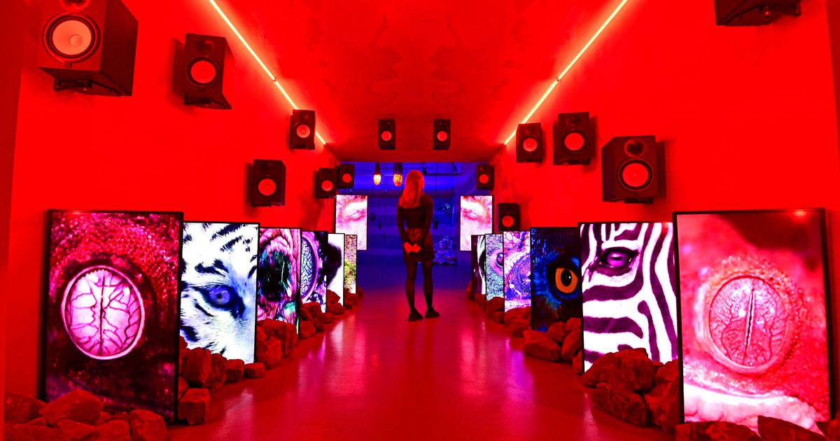 More Music tweet media