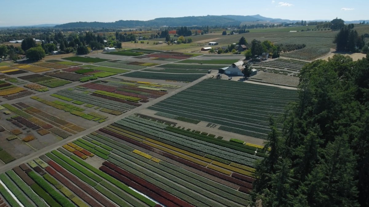 🌟 Supplier Spotlight 🌟

Everde Growers has a coast-to-coast footprint for its broad mix of high-quality plants, including over 5,000 unique selections. 

📍 Texas, Florida, Oregon, and California

🔗  landscapehub.com/suppliers/tree…