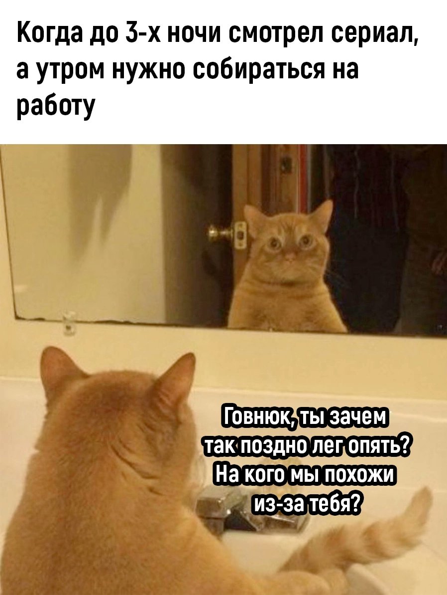 versatilitys's tweet image. Ды