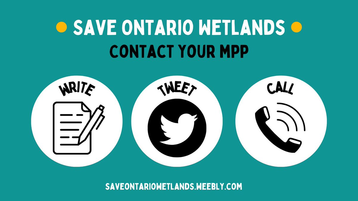 Hey Twitter! It’s my #birthday on Monday 🥳 and all I want for it is for you to 1) email your MPP about the changes to #wetland evaluation in Ontario &amp; #bill23 saveontariowetlands.weebly.com/take-action.ht…; 2) submit a critique on the Env Registry about these changes. ero.ontario.ca/notice/019-6160