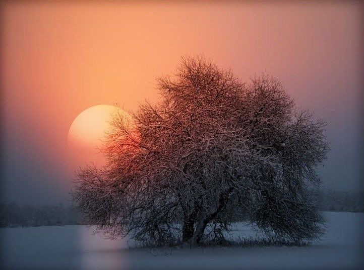 ramblingsloa's tweet photo. What’s broken can be mended.
What hurts can be healed.
And no matter how dark it gets,
The sun is going to rise again.

Pic Veronica Pinke https://t.co/N0NKAsgu9c