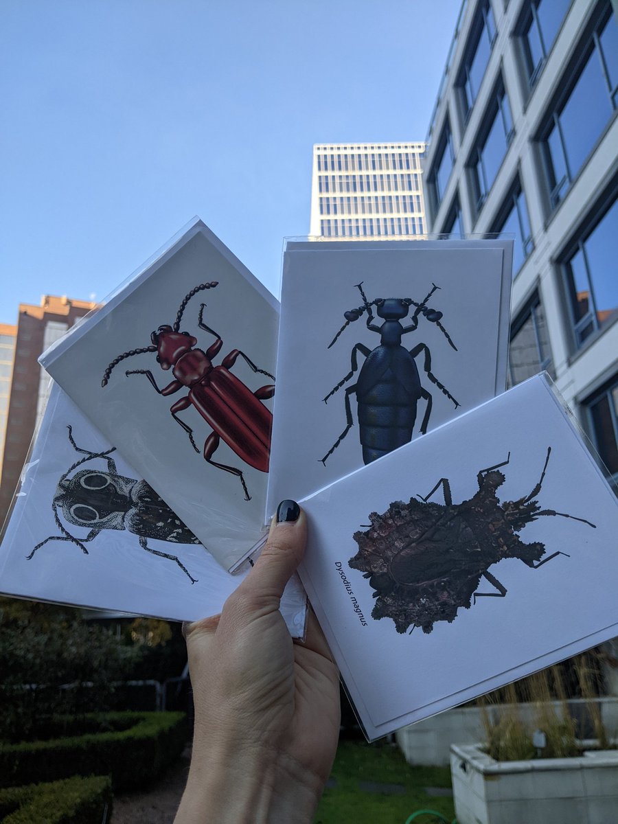 UMN Frenatae (@umn_frenatae) on Twitter photo Hey <a href="/EntsocAmerica/">Entomological Society of America</a> goers! Come to the University of Minnesota's student table in the exhibit hall today between 9am-4:30pm to purchase our awesome student-illustrated stickers, notecards, tshirts and calendars! #EntSoc22 #JAM2022 Hey <a href="/EntsocAmerica/">Entomological Society of America</a> goers! Come to the University of Minnesota's student table in the exhibit hall today between 9am-4:30pm to purchase our awesome student-illustrated stickers, notecards, tshirts and calendars! #EntSoc22 #JAM2022