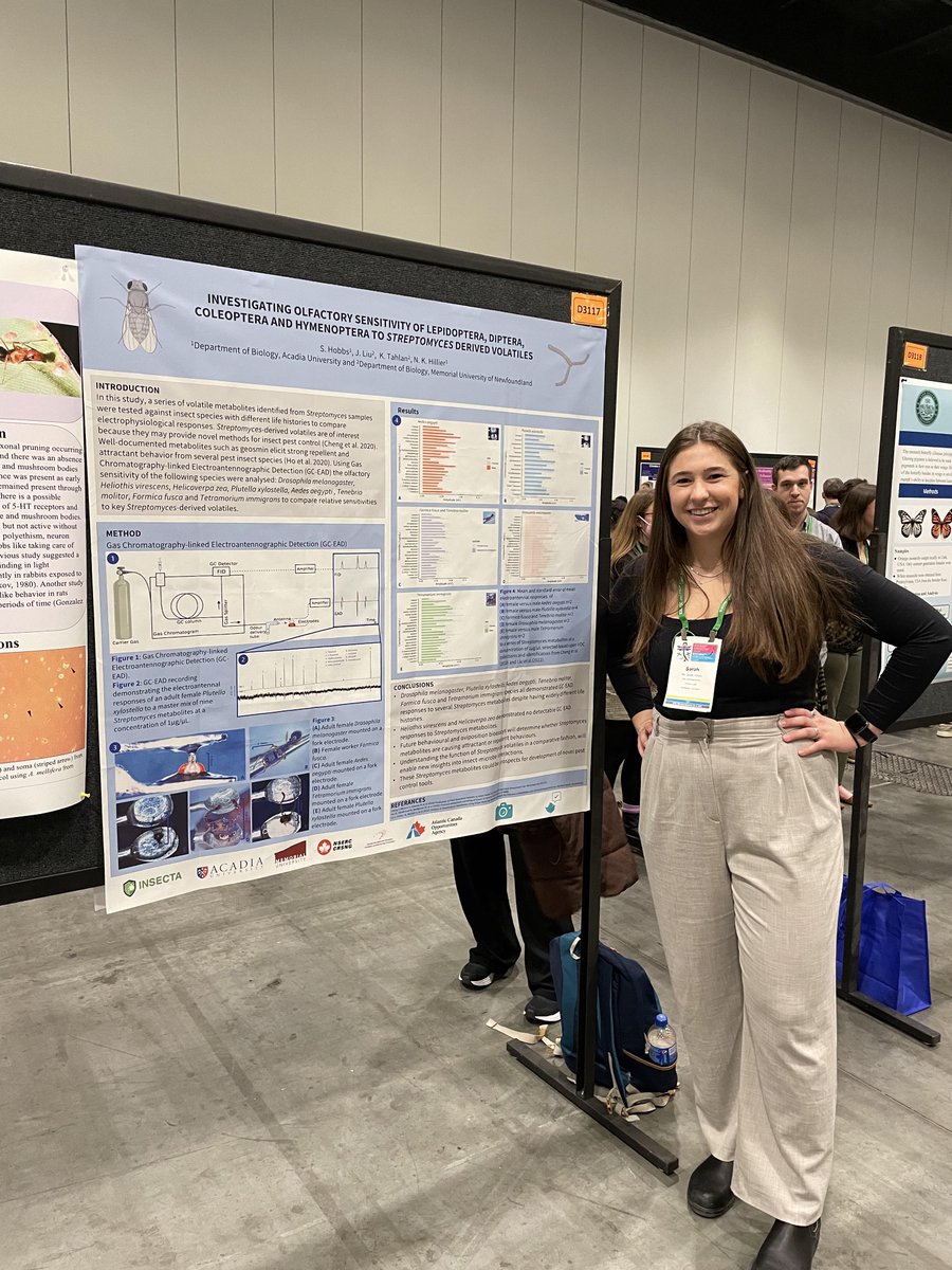 HillierLab's tweet image. Great poster presentation from Sarah Hobbs - another @AcadiaU star at #EntSoc22! Congratulations! 
 @HillierLab
 @AcadiaBio
 @acadiaresearch