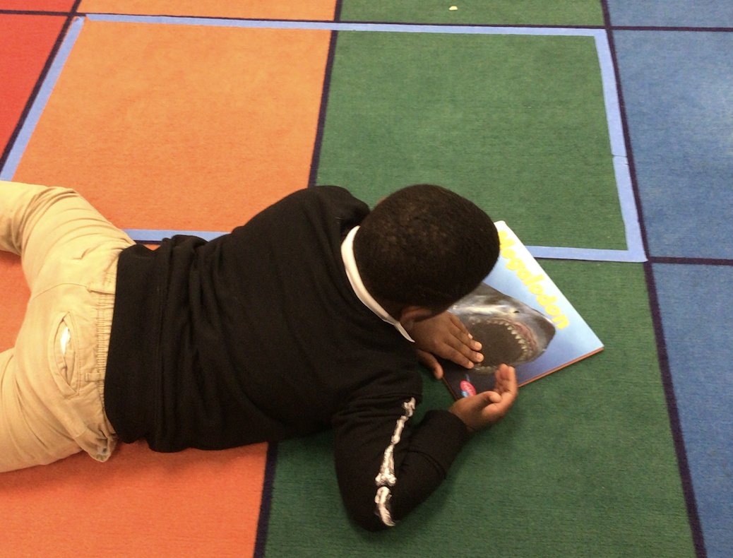 Michelle Ishizuka (@michelleishi) on Twitter photo Thank you <a href="/FRELibraryLady/">Andrea Dysput</a> for finding this book from another school for this friend. He's reading instead of playing during indoor recess! @FREfacts Thank you <a href="/FRELibraryLady/">Andrea Dysput</a> for finding this book from another school for this friend. He's reading instead of playing during indoor recess! @FREfacts