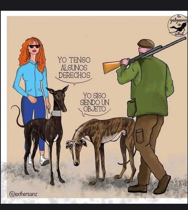 La enmienda del PSOE
Nos lleva a encontrarnos con una paradoja legal en 🇪🇦 unos perros con derechos y otros sin ellos. Unos propietarios con obligaciones y otros sin ellas. Lo han pensado bien???
 <a href="/santicl/">Santos Cerdán León</a> <a href="/sanchezcastejon/">Pedro Sánchez</a>  <a href="/patxilopez/">patxilopez</a> <a href="/psoe/">PSOE</a> <a href="/gpscongreso/">PSOE Congreso</a>
#ElNuncaLoHariaPSOE