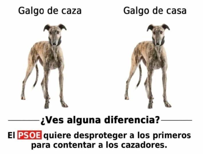 NO hay perros d primera y segunda, no existen las clases. Vosotros con vuestra poca ética y moral merecéis una vida de miserias como tienen los perros de caza 

#ElNuncaLoHariaPSOE <a href="/santicl/">Santos Cerdán León</a> <a href="/sanchezcastejon/">Pedro Sánchez</a>  <a href="/patxilopez/">patxilopez</a> <a href="/psoe/">PSOE</a> <a href="/gpscongreso/">PSOE Congreso</a>
