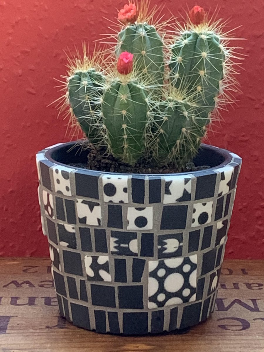 LnSDesigners's tweet image. Gorgeous mosaic pots and Xmas decorations from local artist Ai Onishi Mosaics will be available from both #LeytonstoneChristmasMarket on November 26th and Fellowship Square Winter Market on December 3rd! Come to both! #E11 #E17 #Handmade #Christmas #gift #walthamstow #leytonstone