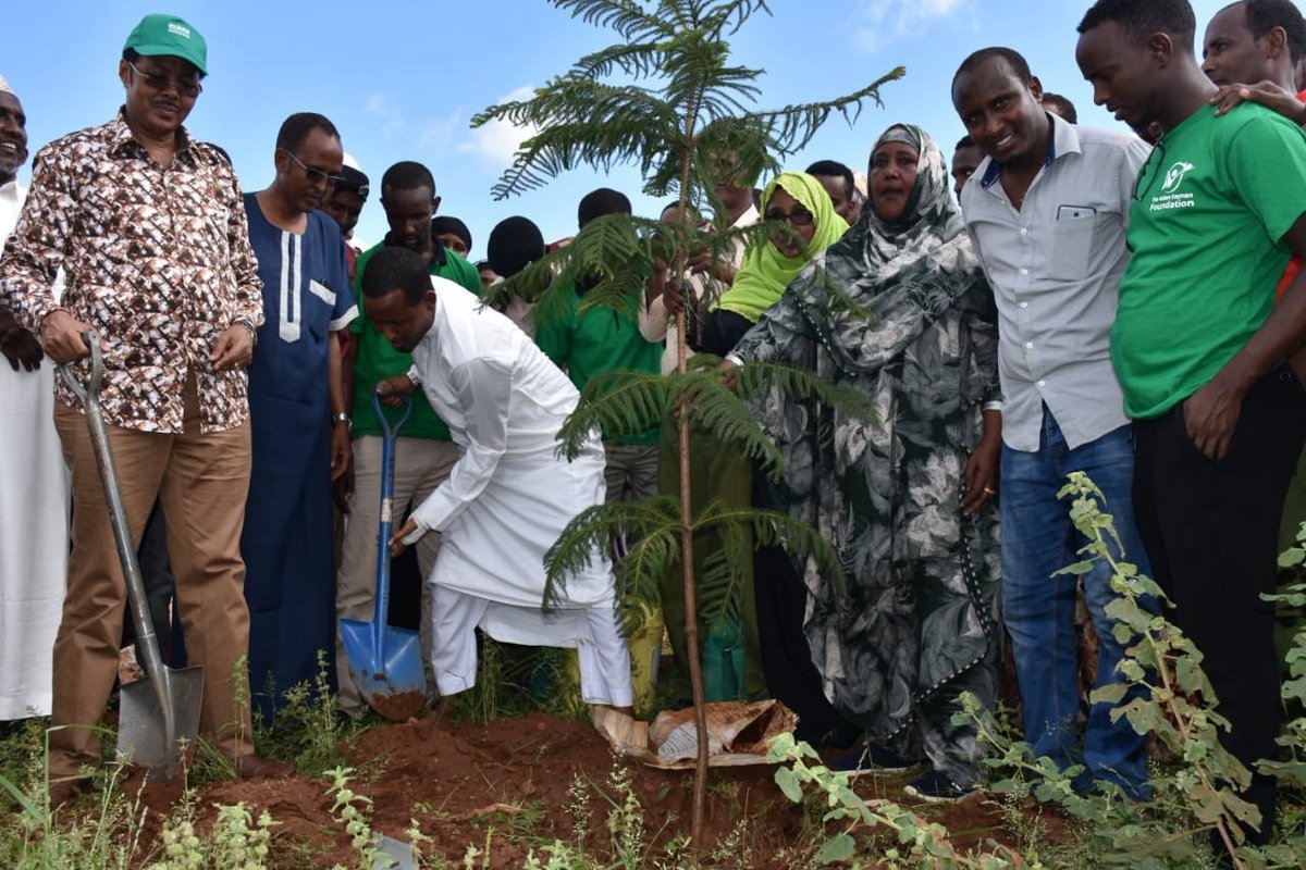 AridlandsL's tweet photo. In a bit to reach the  10% national tree cover and mitigate the agrivating climate impact @AridlandsL  in close cooperation with county and national departments has been planting trees at institutions and community centres for the past years https://t.co/MYJtW9aQzF